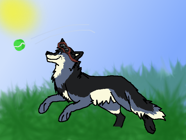 Request: zasha10