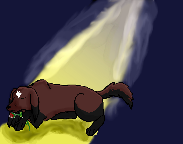 Request:CelesteRose