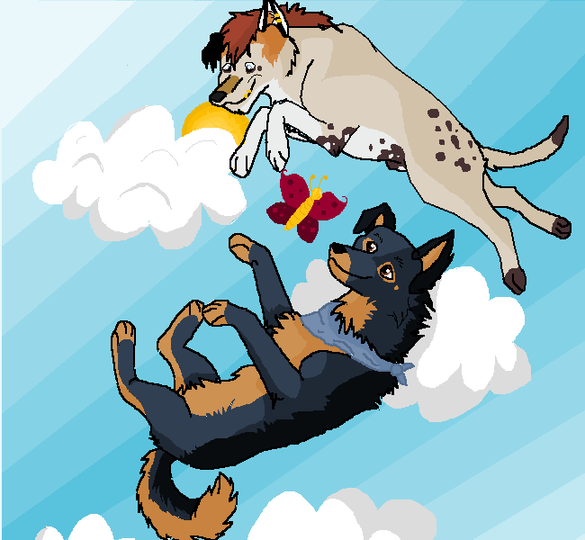 Flying high.
