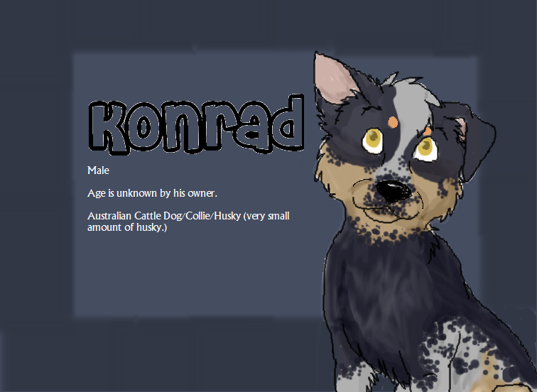 Ref sheet :D