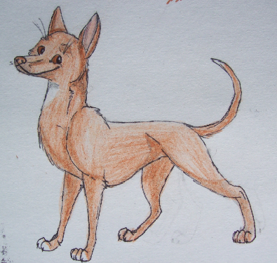 Soon to be new character :3