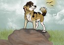 Bird Watching :3