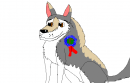 saske's prize!!!