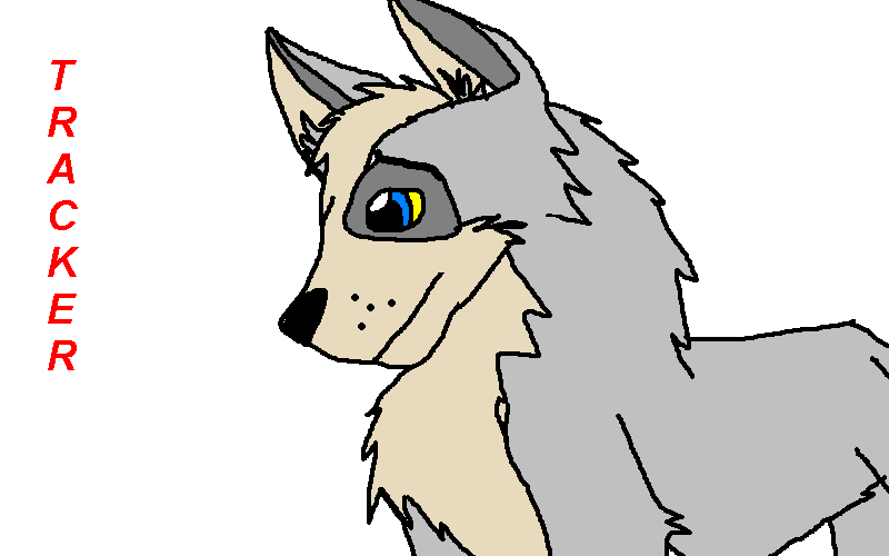 thankies to black husky