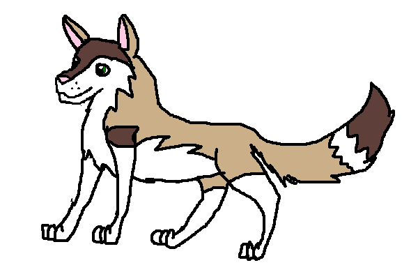 aisha all grown up