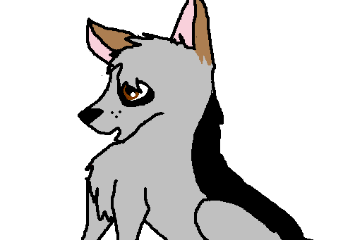 mutt