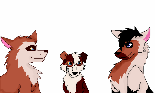 gifty for WWM