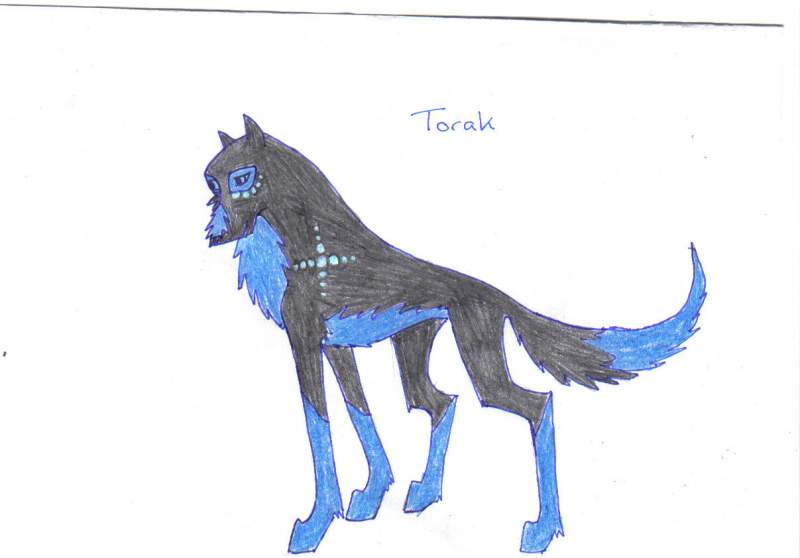 Torak