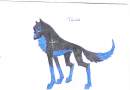 Torak