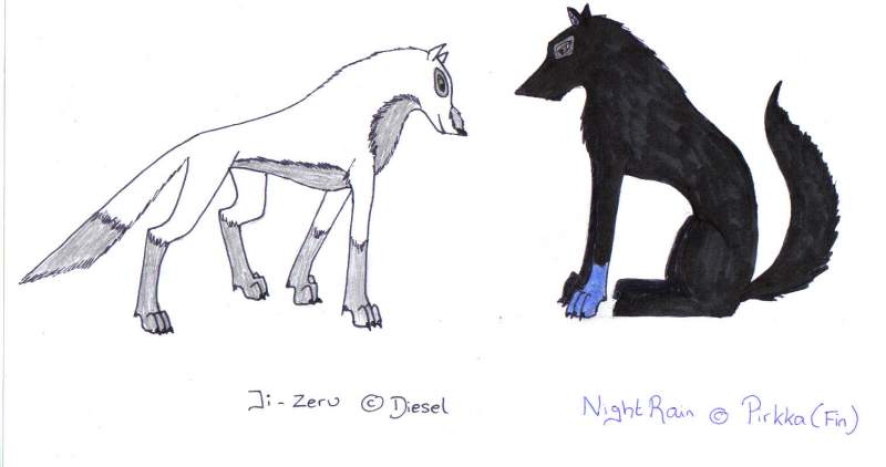 Scene from Roleplay