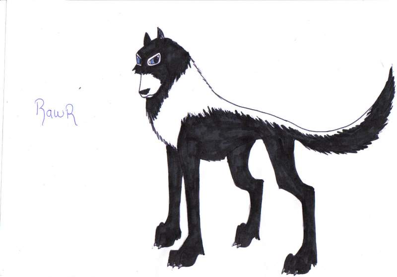 Gift for the WOLFMAN