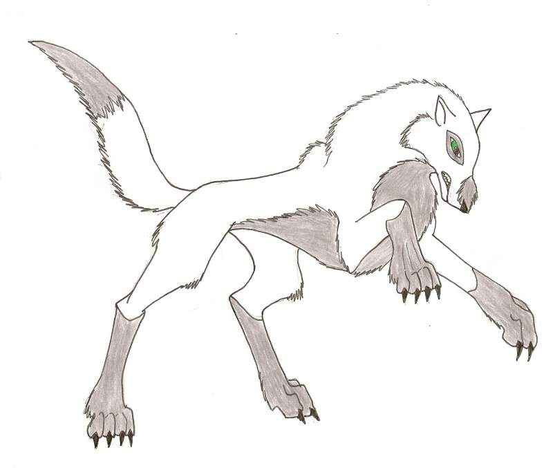 Rawr