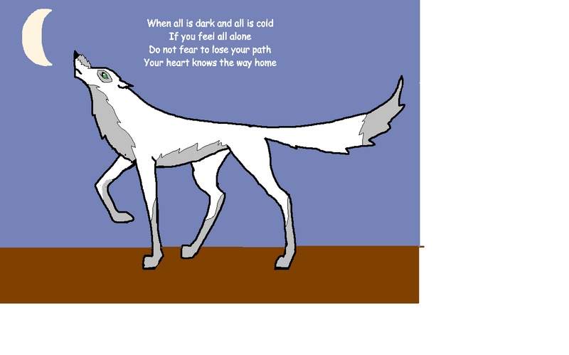 The way home