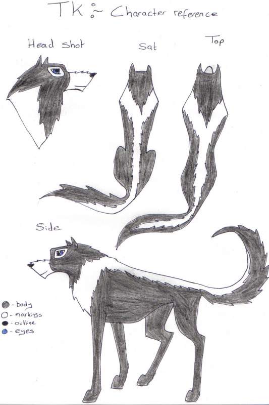Character Reference for TK