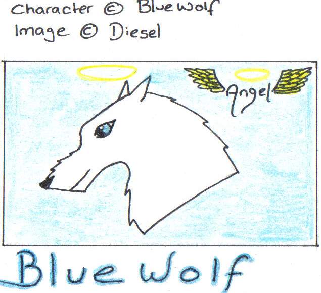 For Bluewolf
