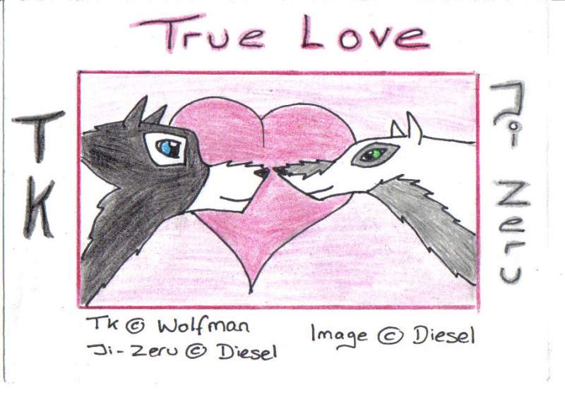 True Love