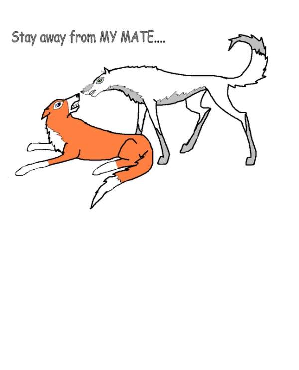 Get Away from MY MATE