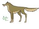 Balto