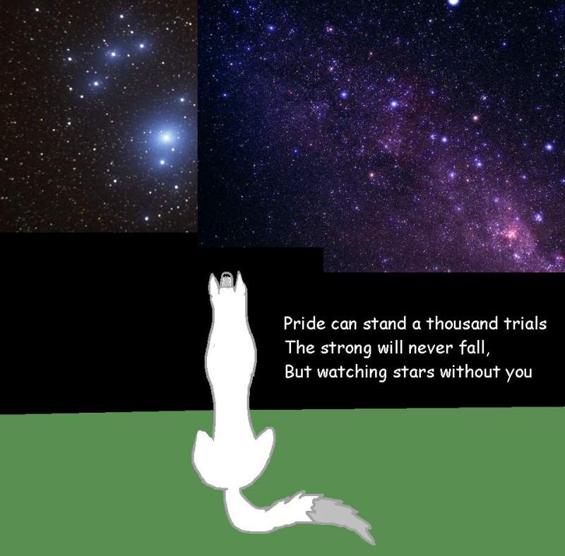 Watching Stars