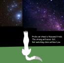 Watching Stars