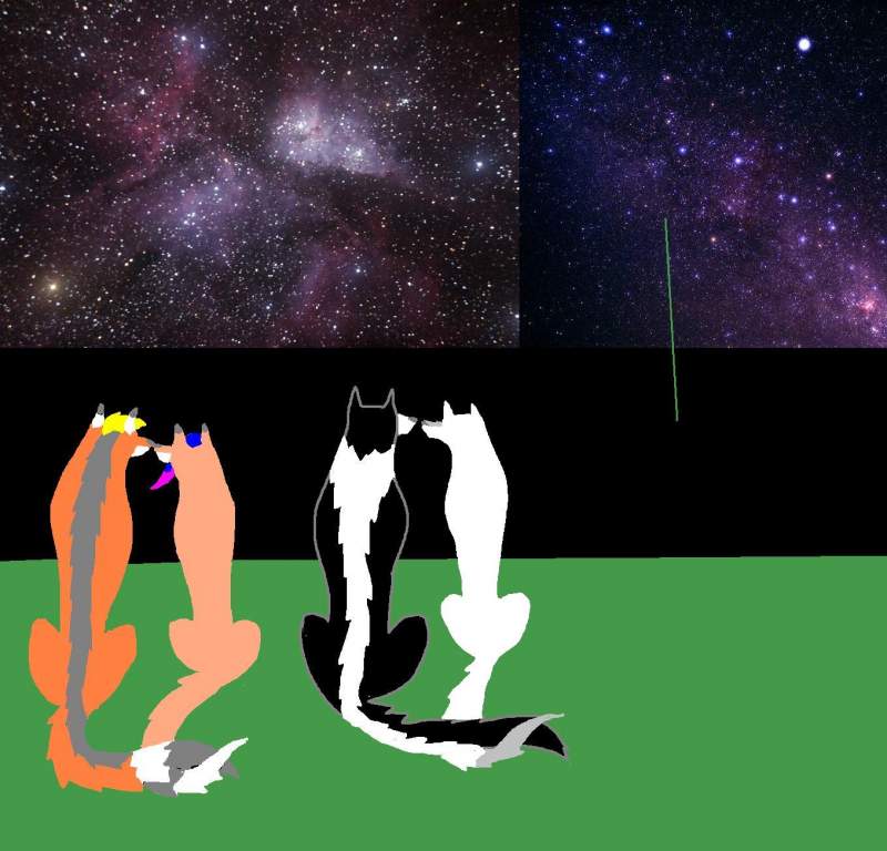 Couples