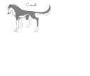 Casadh