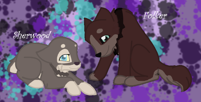 Hime x Loghan Pups