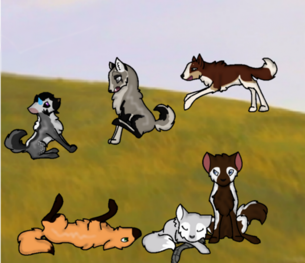 Playing around, Favorote Chars #1