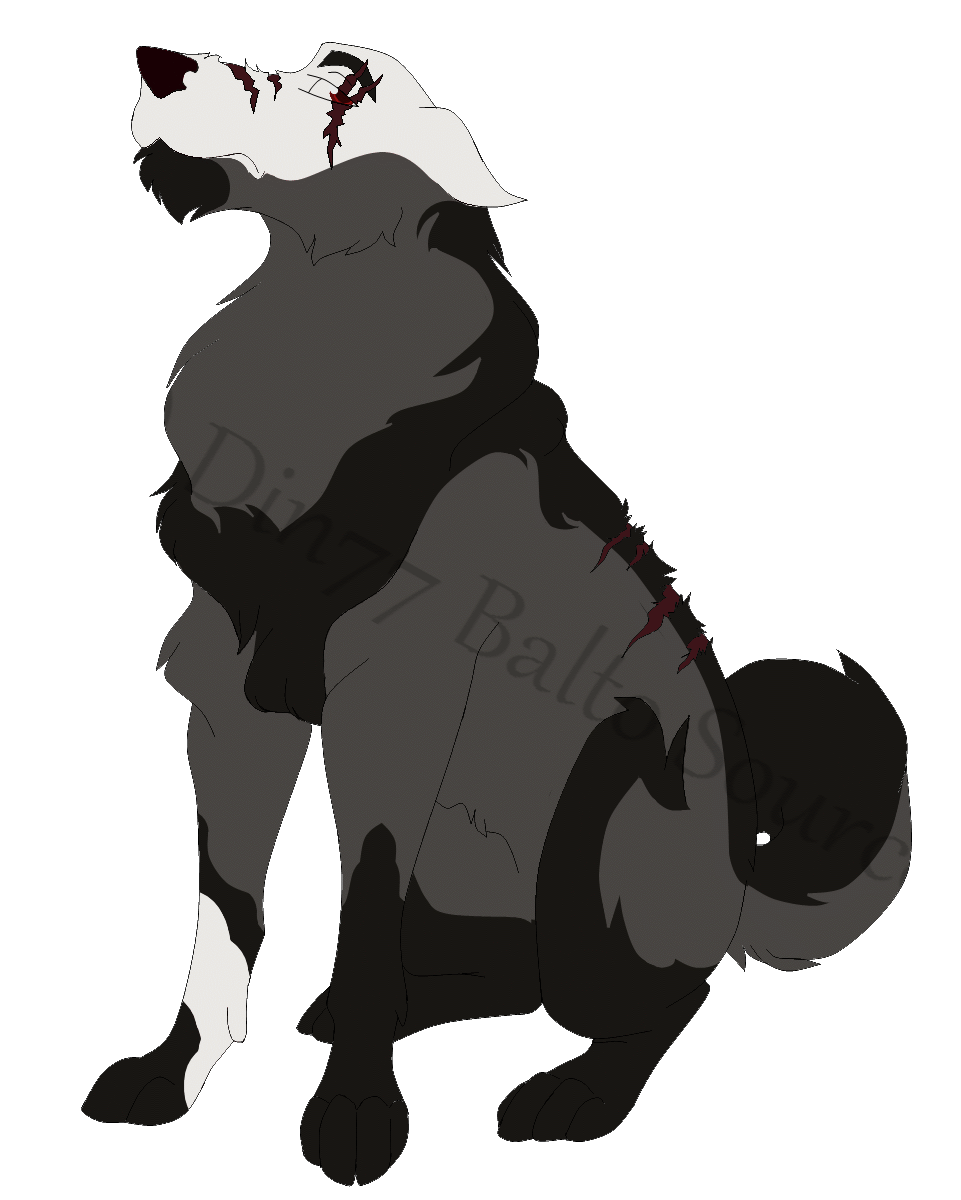 Netu revamp/reapperance