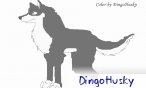 DingoHusky