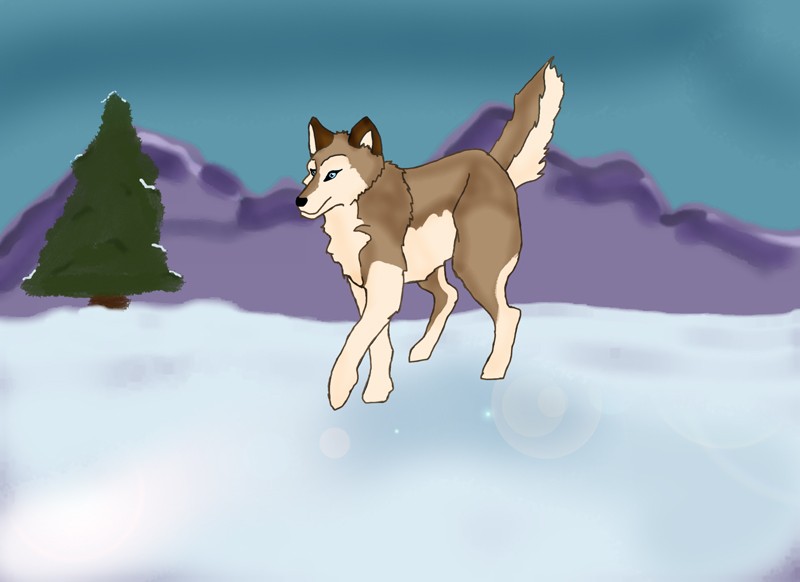 Aleu