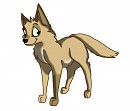 Puppy