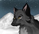 Random Dog