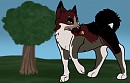 Trade with Aniu Fan