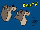 balto 2 faces
