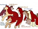Balto's  Perfect  Children