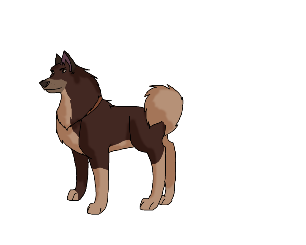 Runi's new design