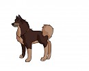 Runi's new design