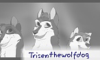 Trisenthewolfdog