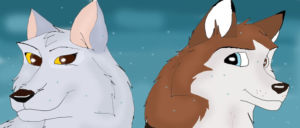 Aniu & Buck