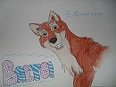 Hand drawn Balto XD