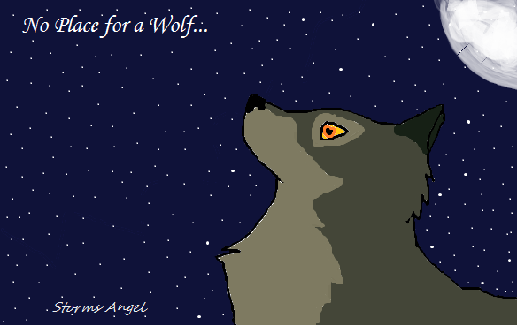 No place for a Wolf...