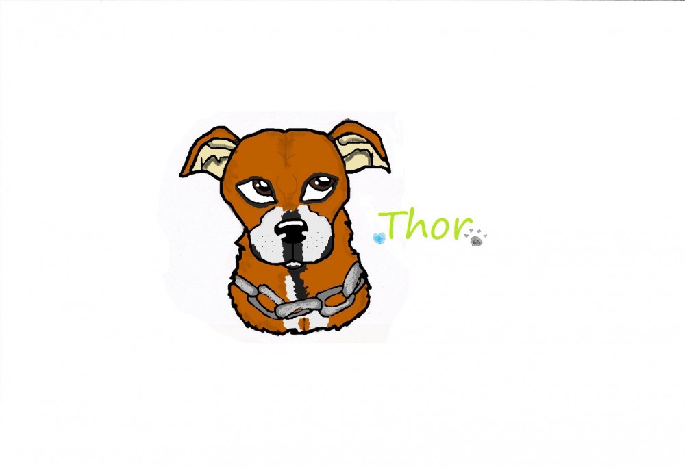 Semi-realistic Thor :D