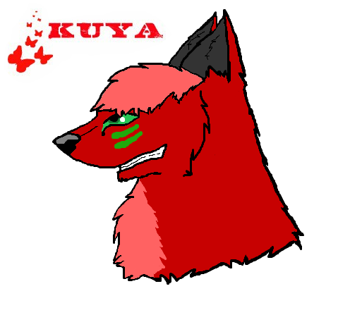 Contest on CS