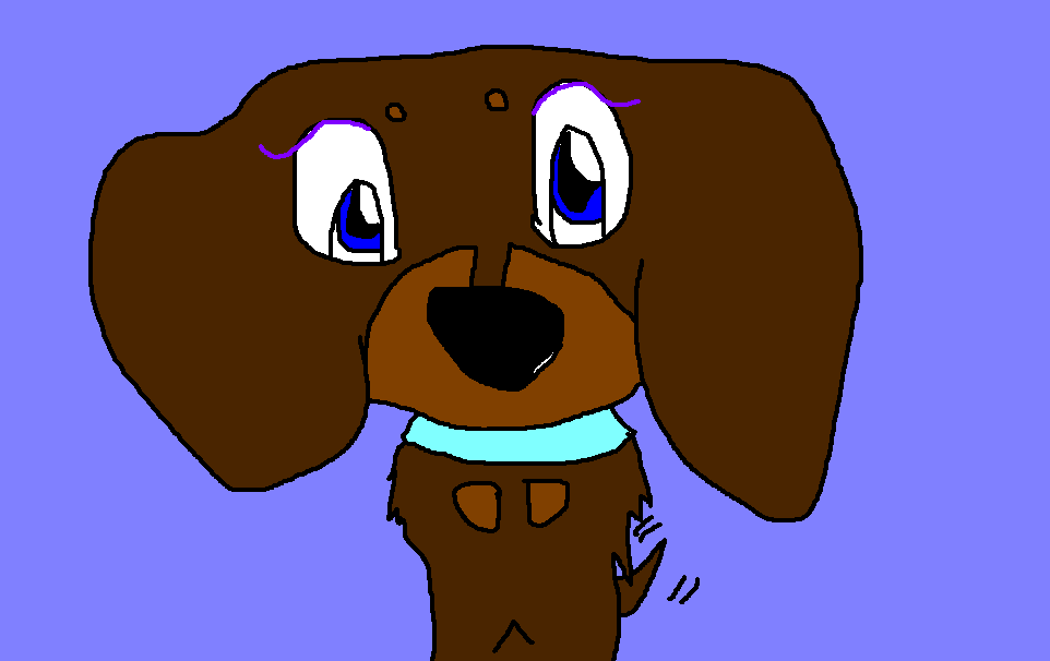 puppy
