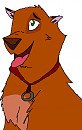 Kenton as puppy