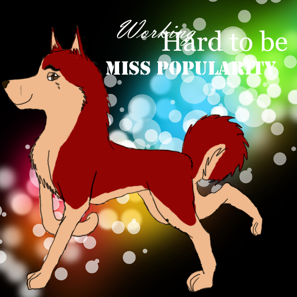 Miss Popularity