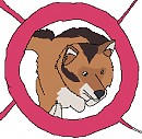 Agility