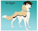 Bridget