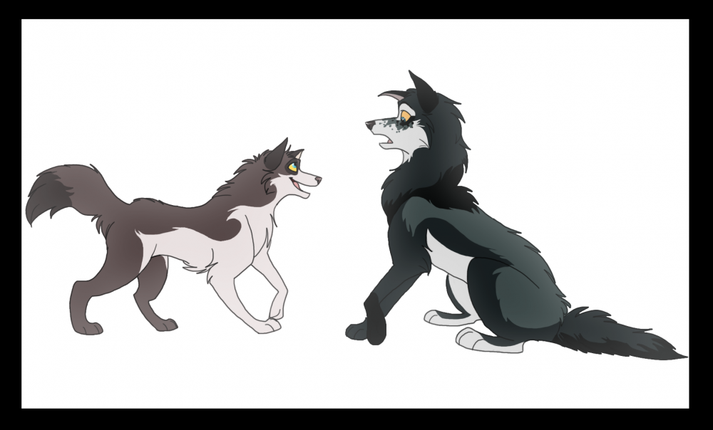 Aedus and Honovi